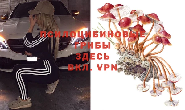 МДПВ Коряжма