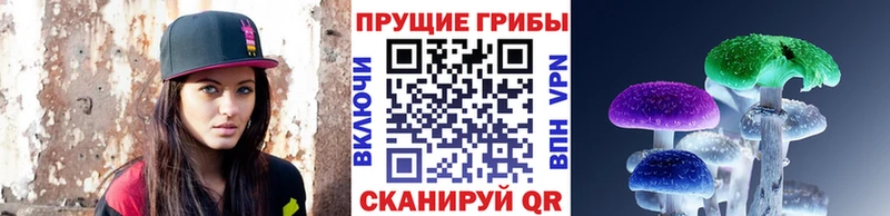 Псилоцибиновые грибы мицелий  Бородино 